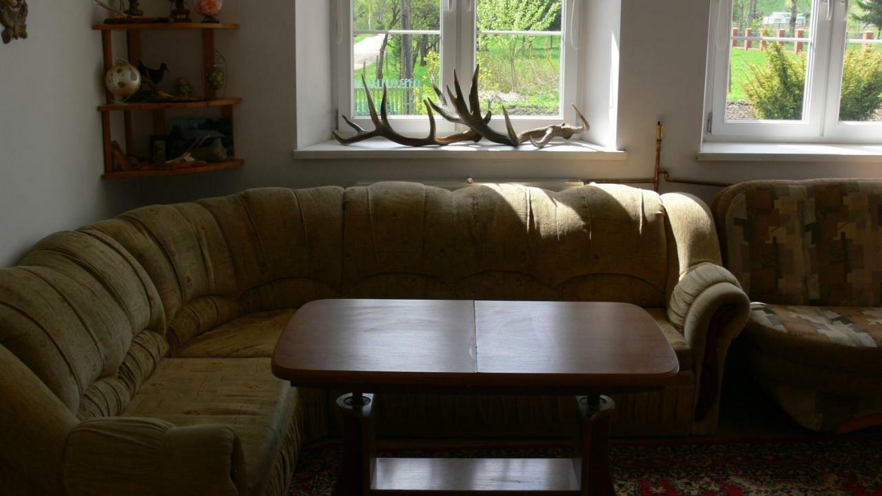 Villa Zlota Lesniczowka à Rydzowka Extérieur photo